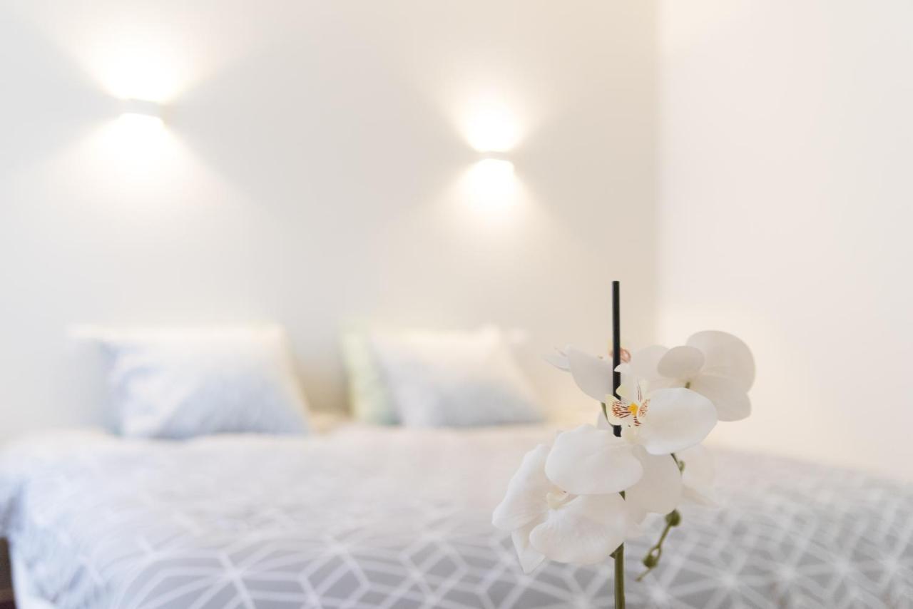 Ravissant Triplex Et Duplex Au Centre De Pont St Esprit Διαμέρισμα Εξωτερικό φωτογραφία